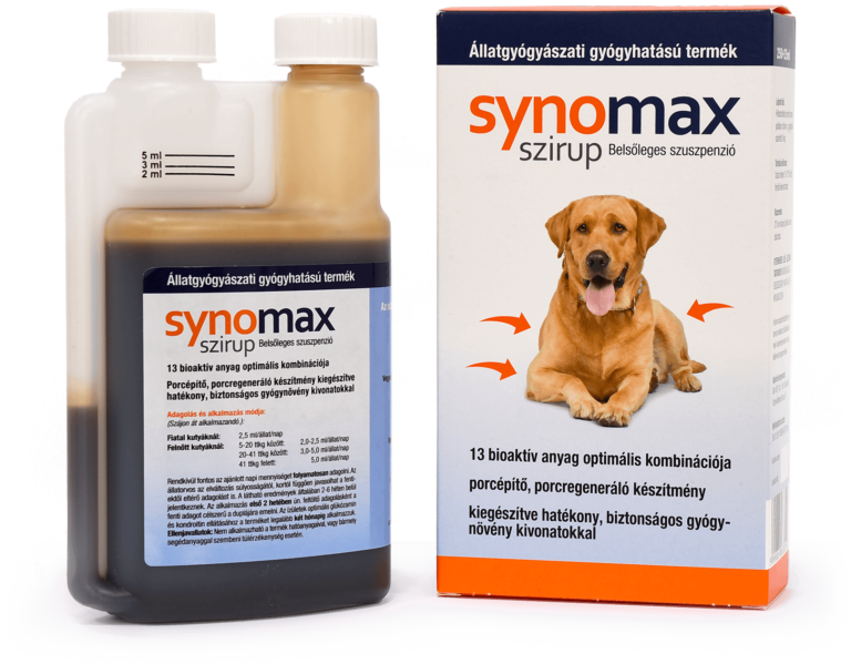 Ízületvédelem idős kutyáknak – amikor a mozgás öröme fájdalommá válik